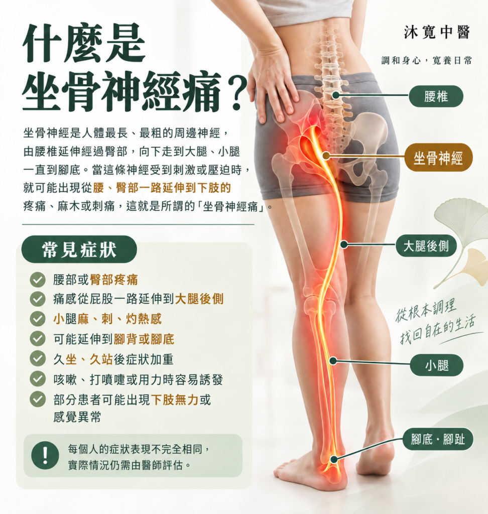 坐骨神經痛內文示意圖